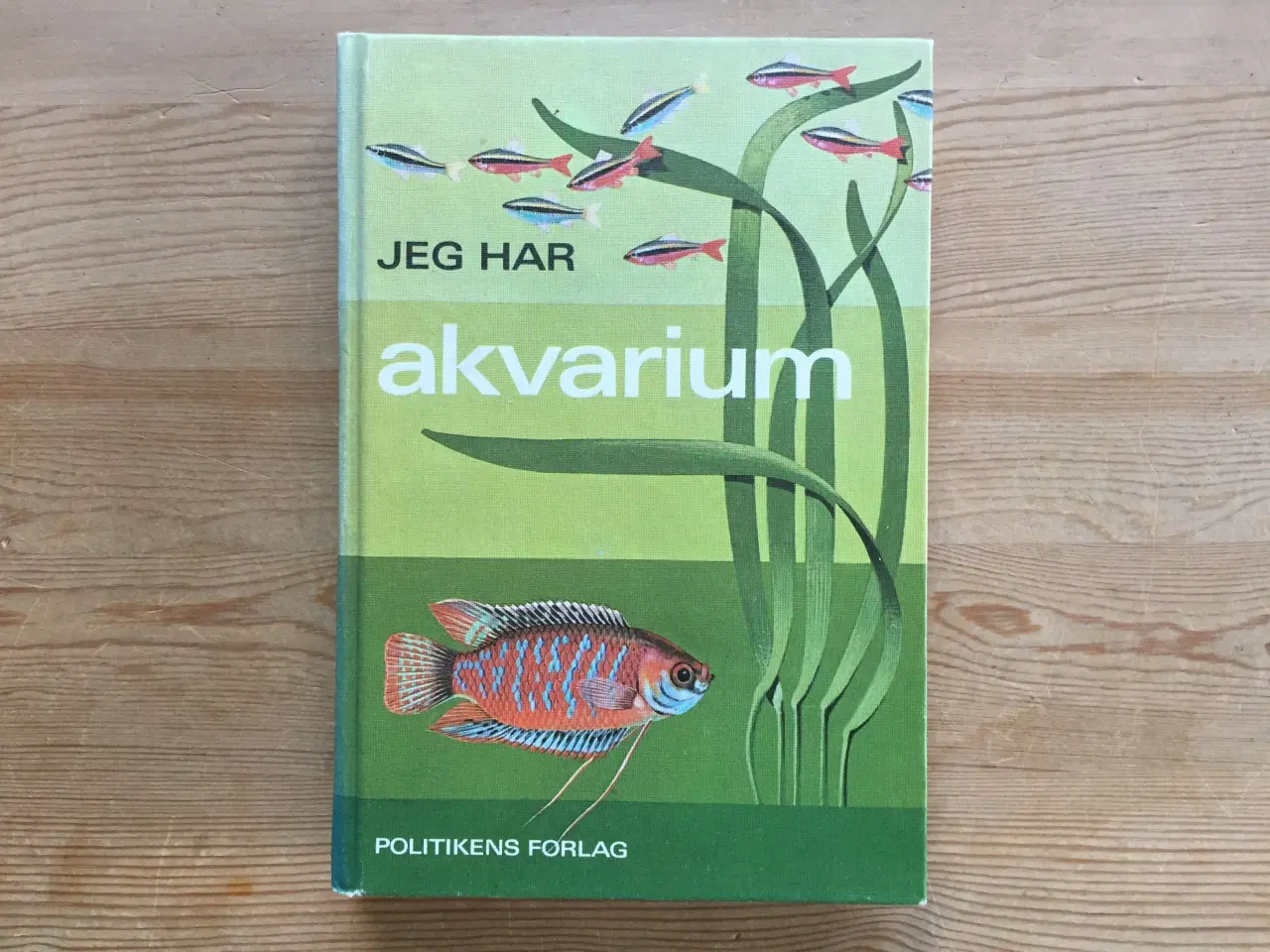 Billede 1 - Jeg har akvarium