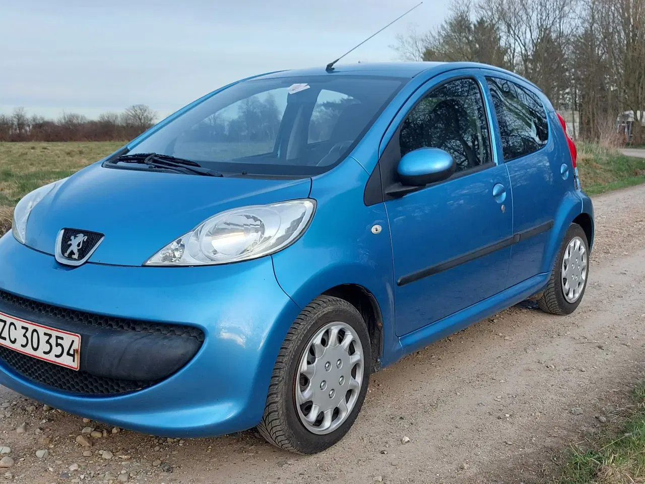 Billede 1 - Nysynet med plader