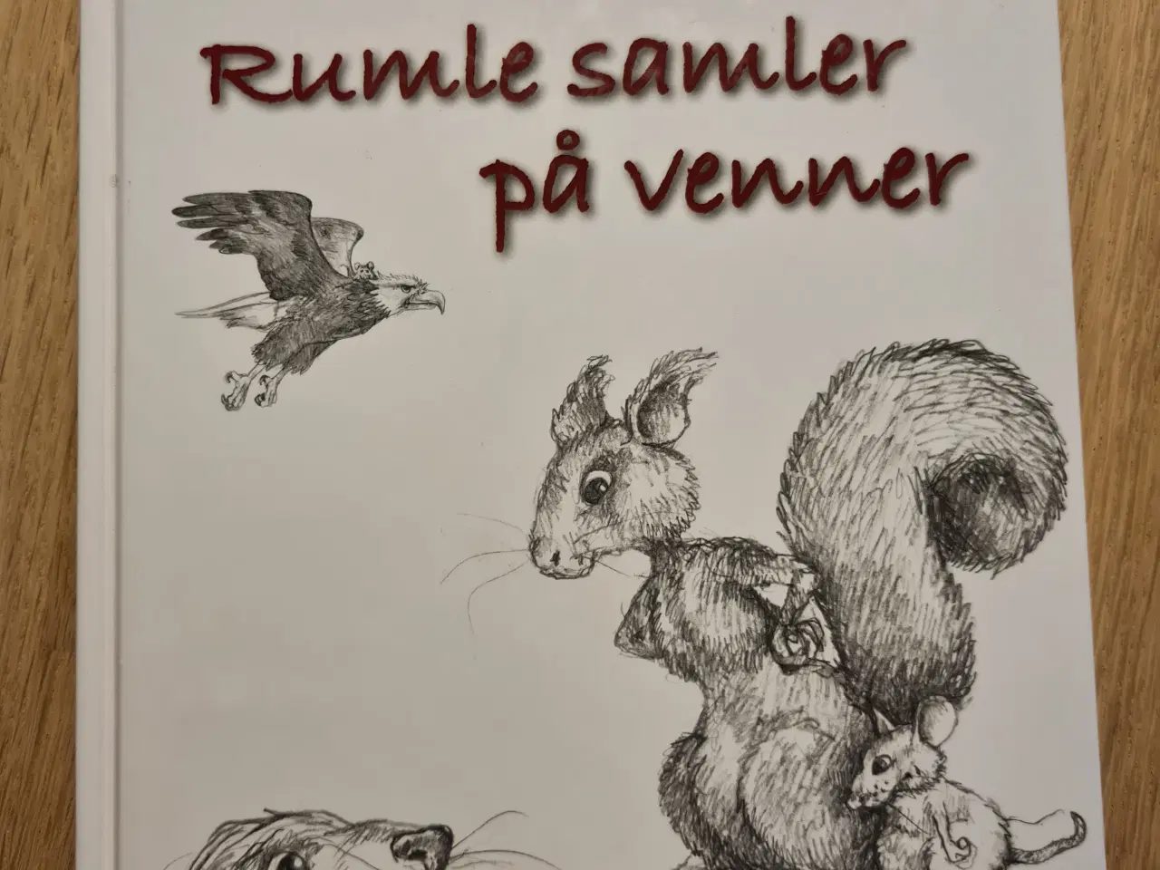 Billede 1 - Børnebog - Rumle samler på venner