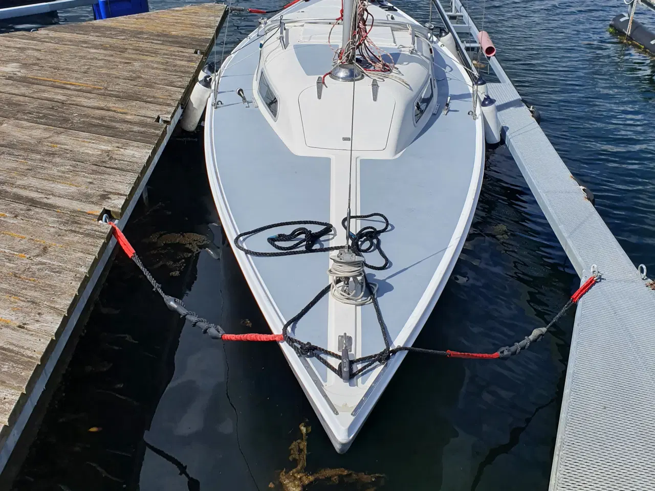 Billede 2 - Bådplads i Marselisborg Havn - 27 moduler
