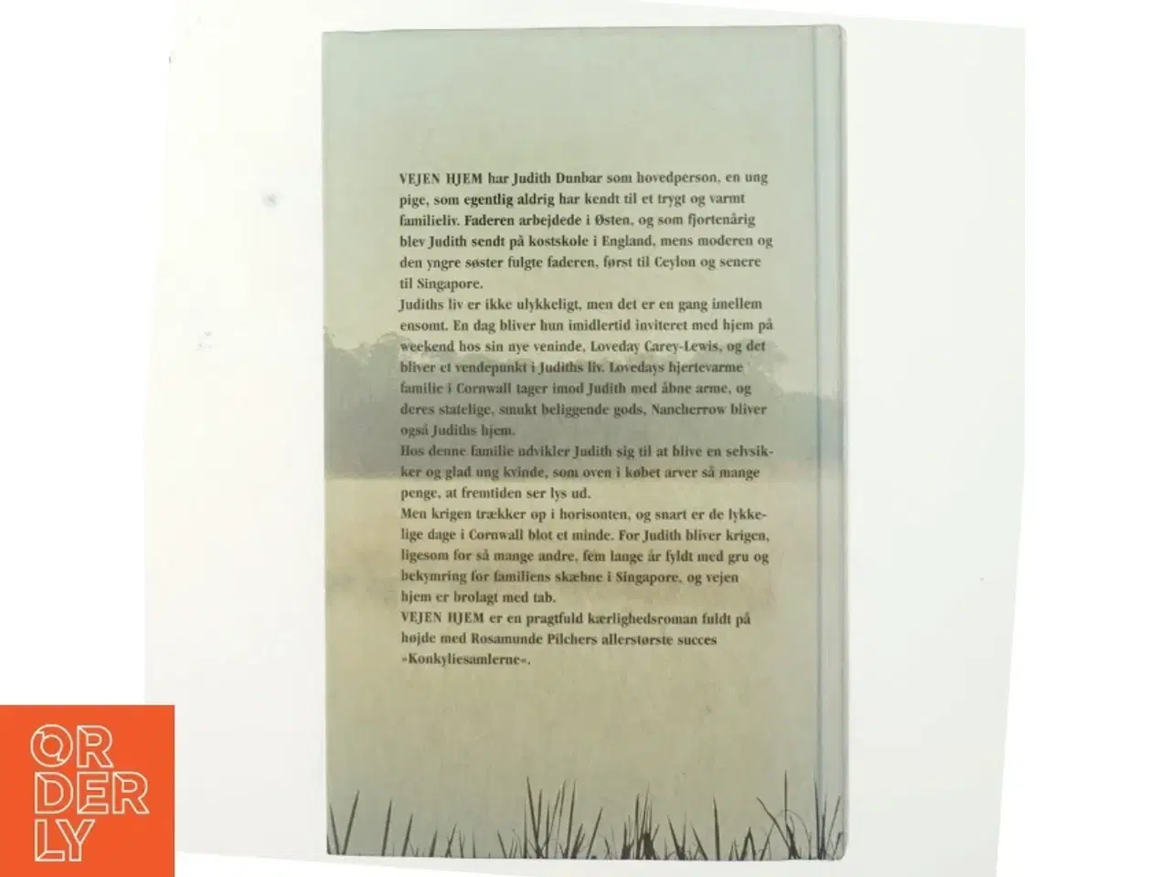 Billede 3 - Vejen Hjem af Rosamunde Pilcher