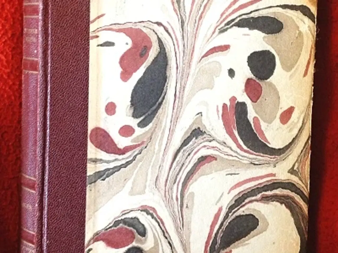 Billede 1 - Leslie Turner White: Høgen