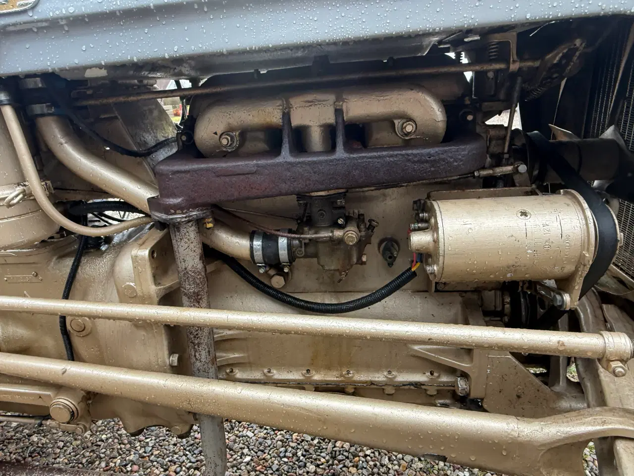 Billede 7 - Ferguson guldfugl