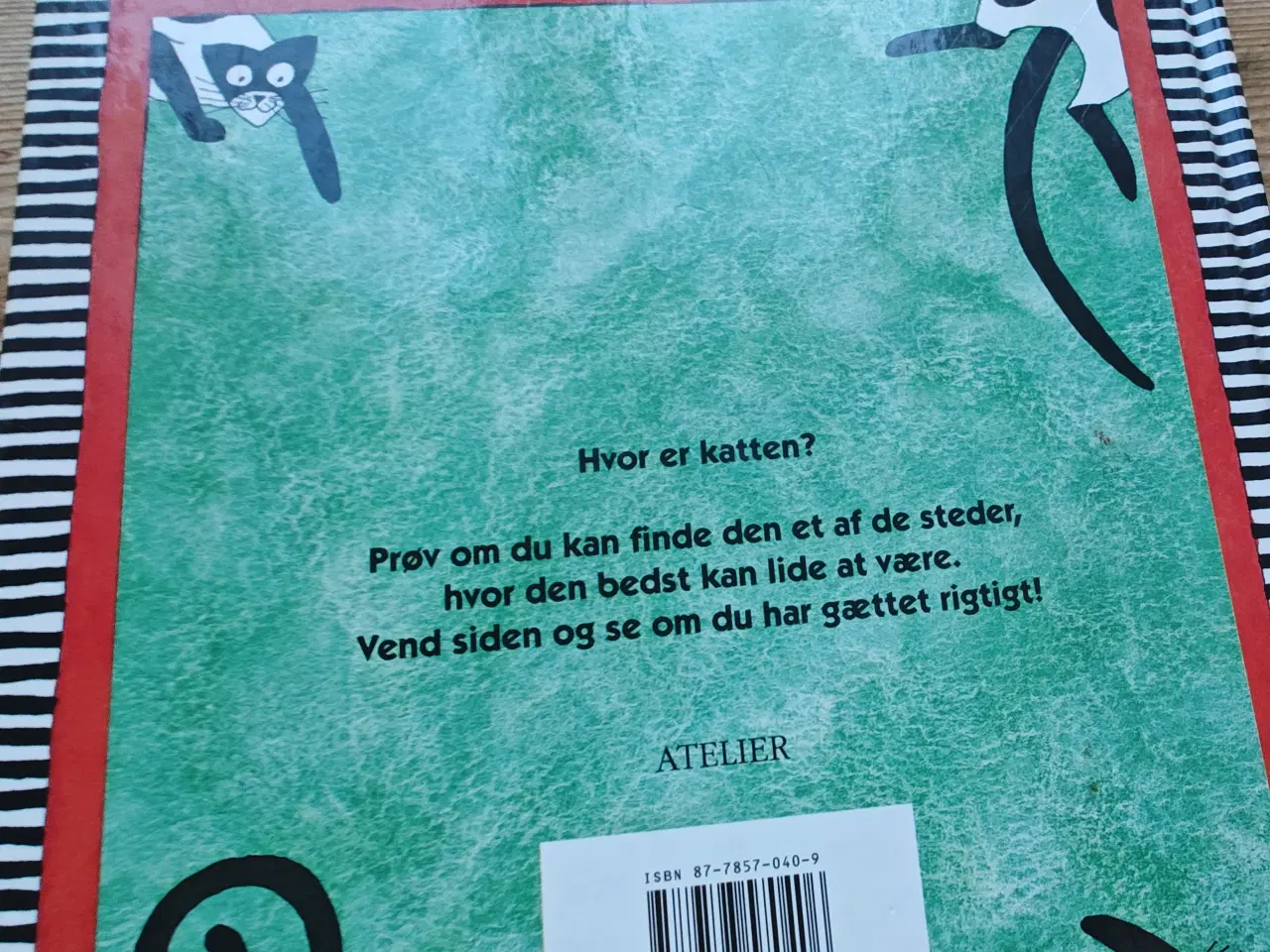 Billede 2 - Hvor er katten ? Findebog