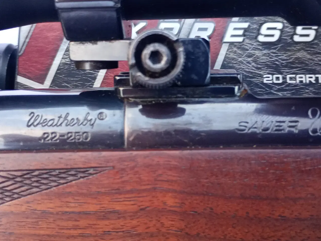 Billede 3 - Sauer Weatherby 22-250
