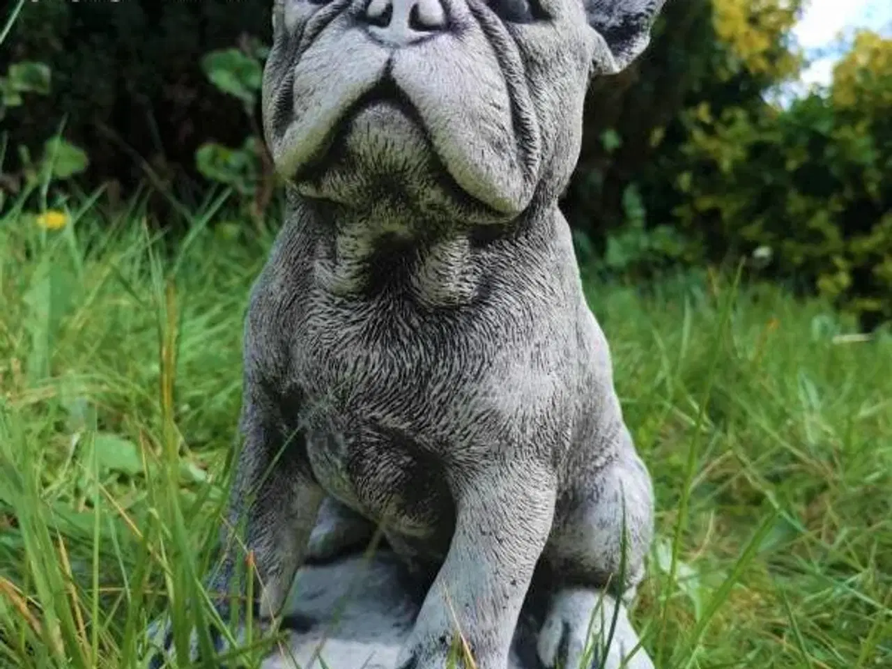 Billede 3 - HAVEFIGUR Smukke betonhunde – forskellige racer 🐾