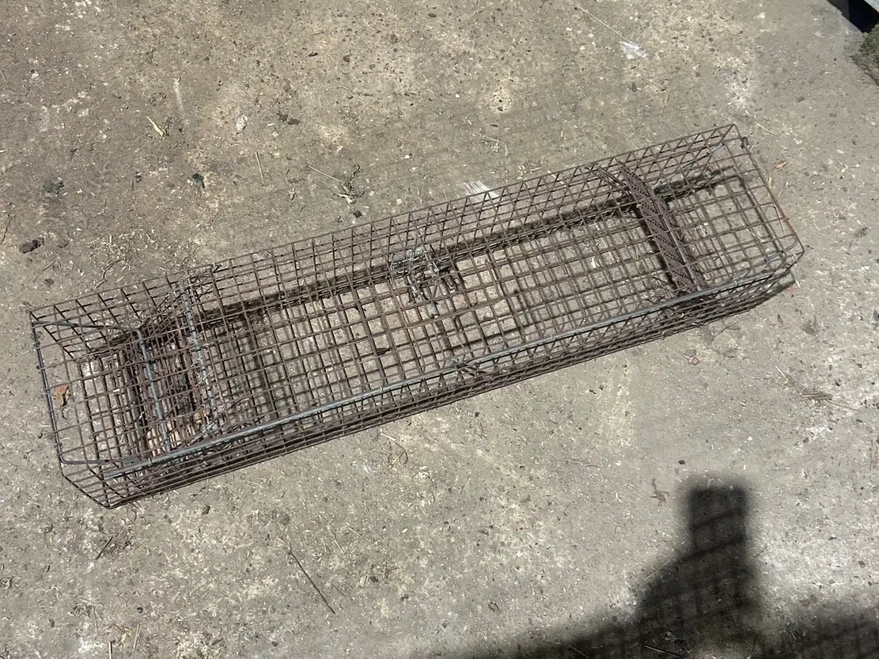 Billede 1 - Mårfælde m/to indgange