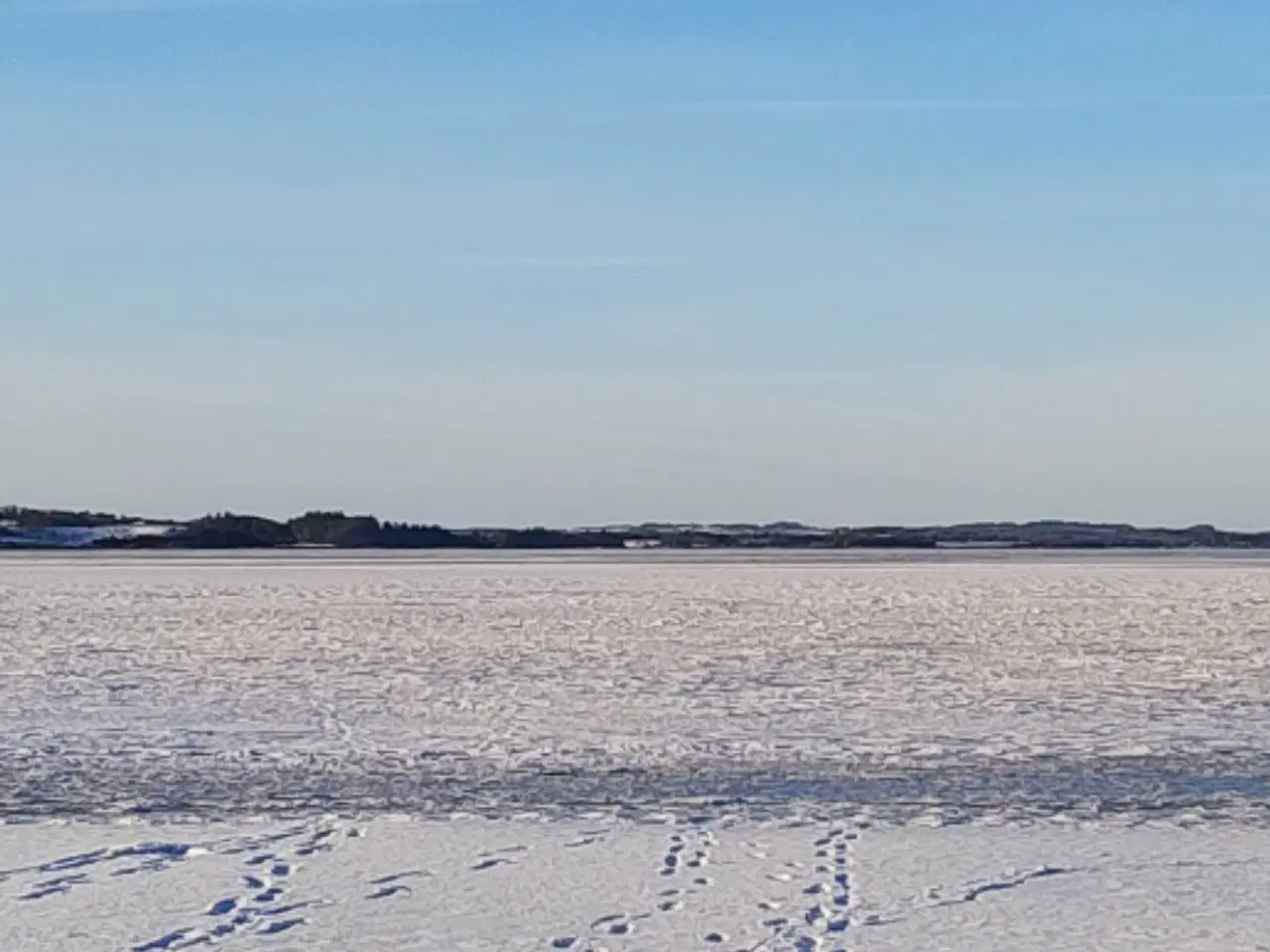 Billede 5 - Ægte tæppe fra Dagestanian 