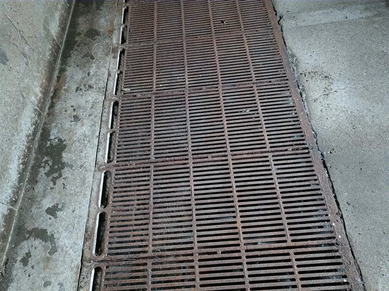 Billede 3 - - - - Støbejernsriste 100x40 cm MOMSFRI