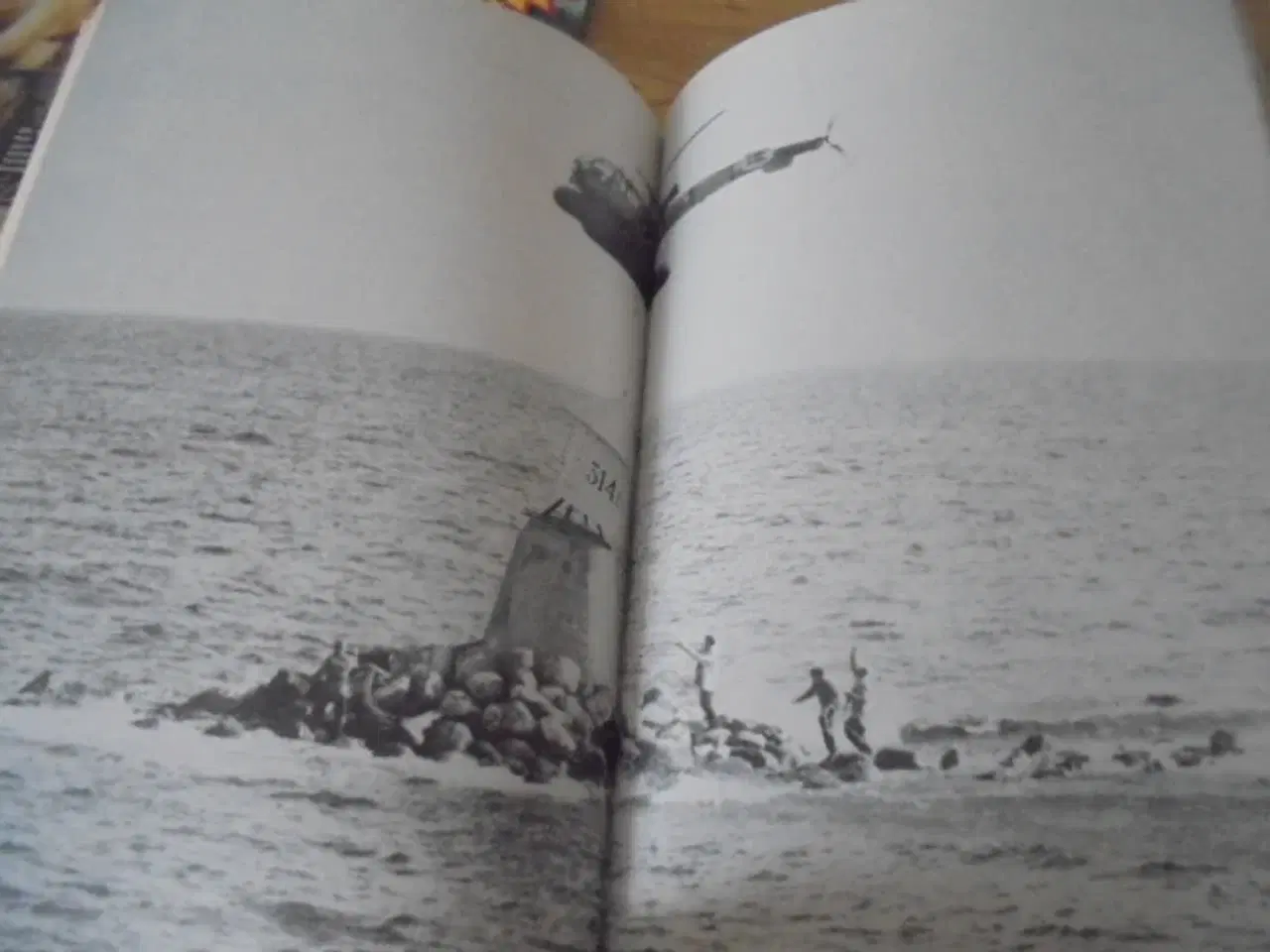 Billede 7 - Søflyverne (dem i Grønland)