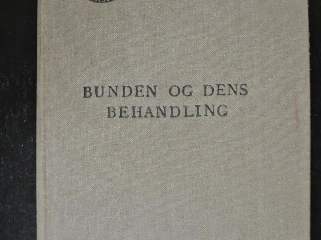 Billede 1 - bunden og dens behandling, af guido hengst, emne: 