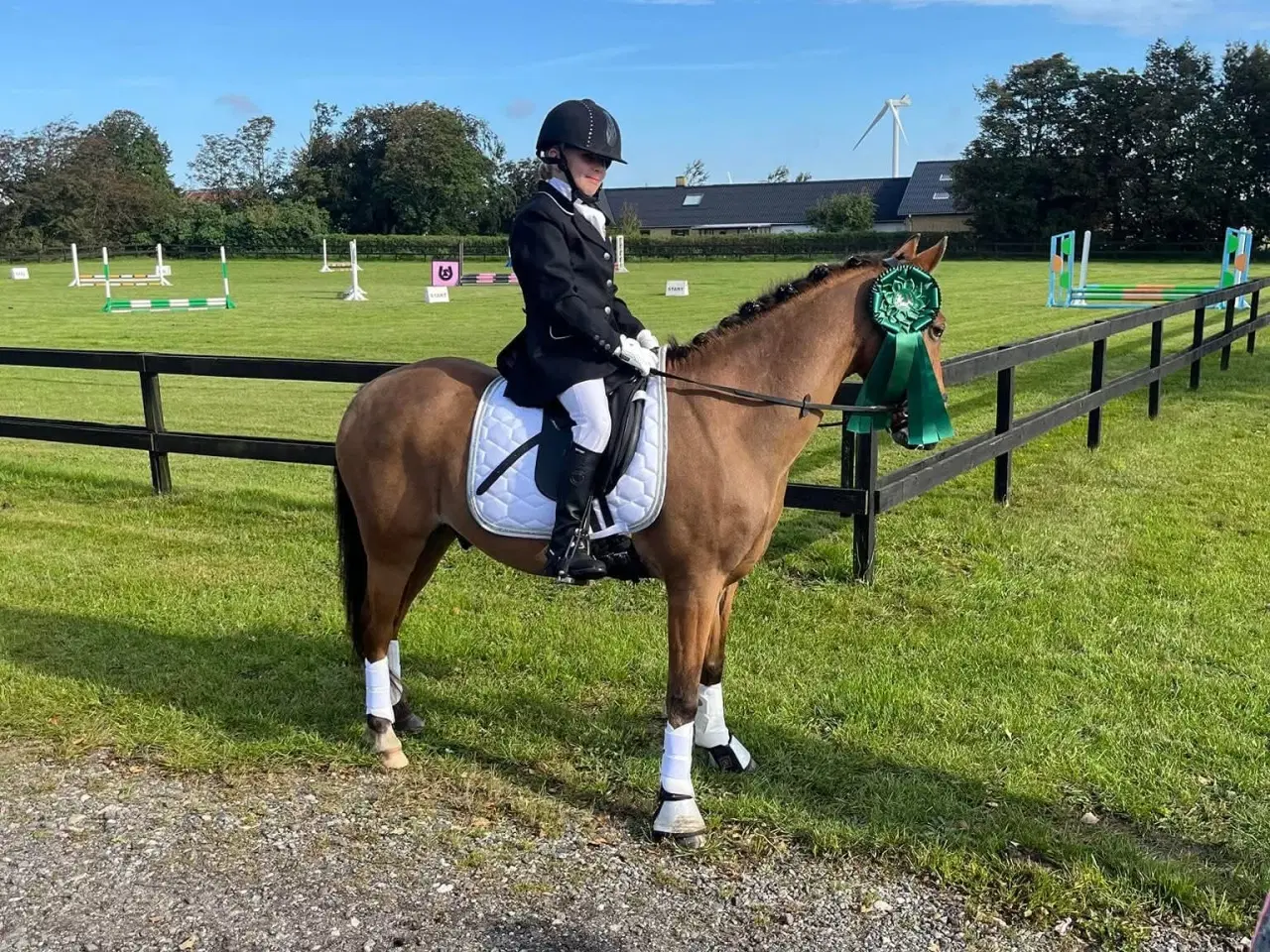 Billede 14 - børnepony /Næsten begynder pony / bytte