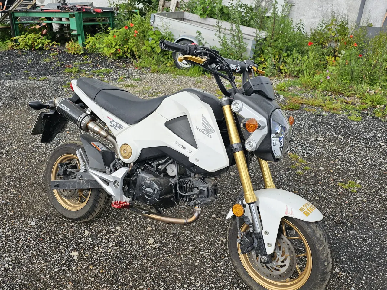 Billede 1 - Honda Msx 125 Grom 