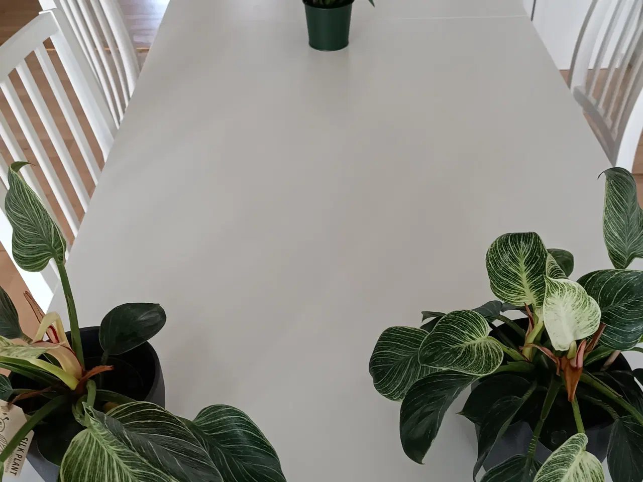 Billede 4 - Spisebord Laneberg ikea