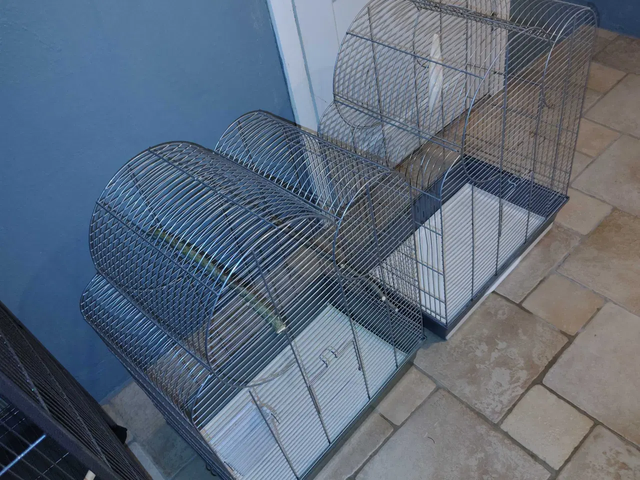 Billede 3 - Fine fuglebure det store er nyt