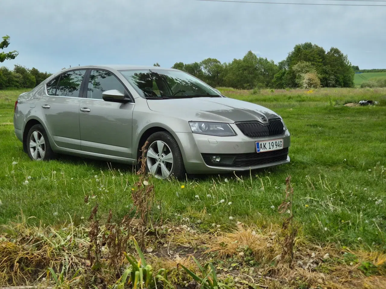 Billede 2 - Skoda Octavia 1,8 TSi 180 Elegance DSG