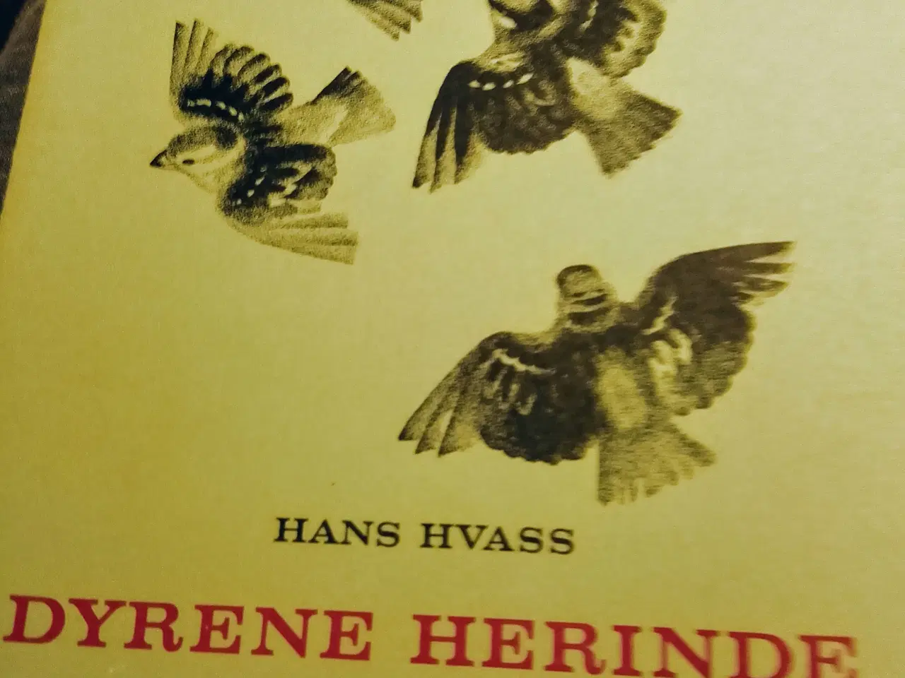 Billede 1 - Hans Hvass: Dyrene herinde. Byens dyreliv.