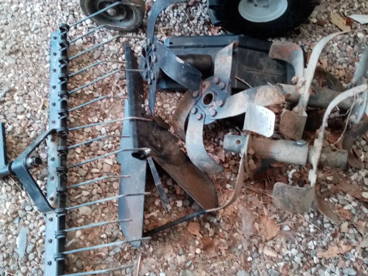 Billede 3 - Texas Lilli fræser