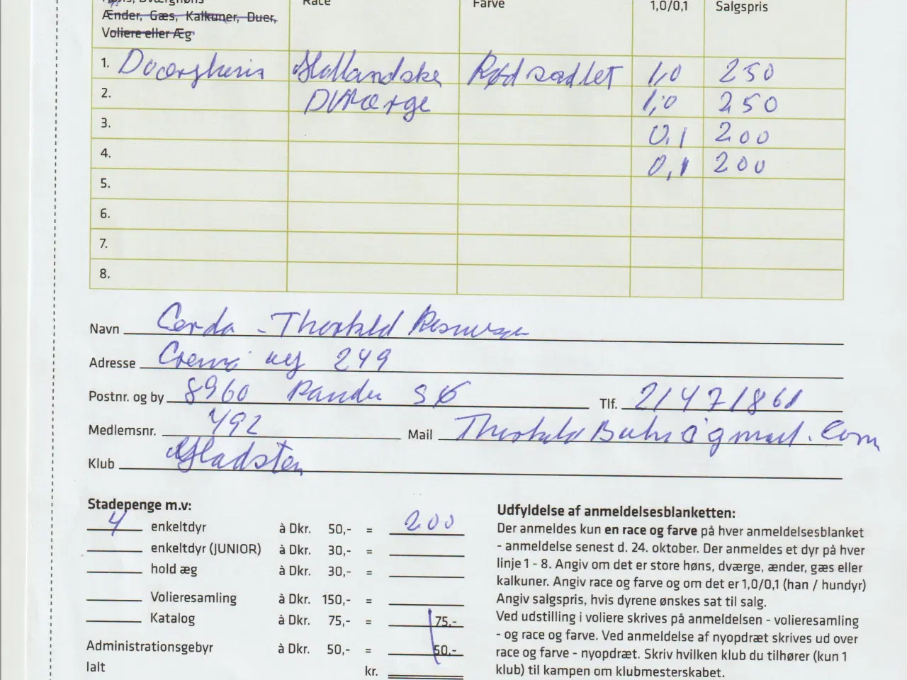 Billede 5 - RUGE ÆG 