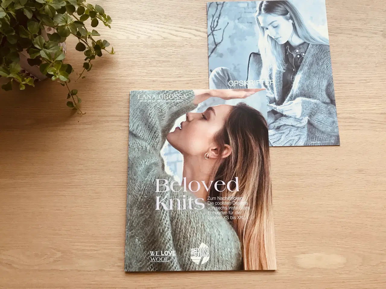 Billede 2 - Lana Grossa:  Beloved Knits