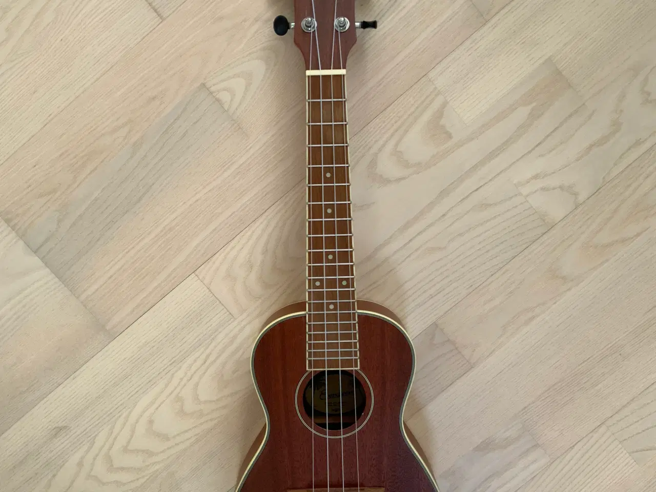 Billede 1 - Ukulele, Everdeen