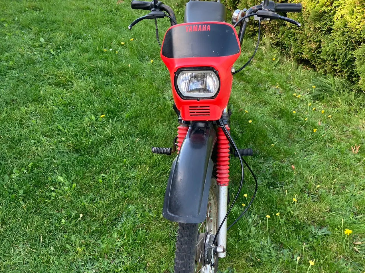Billede 2 - Yamaha sting 