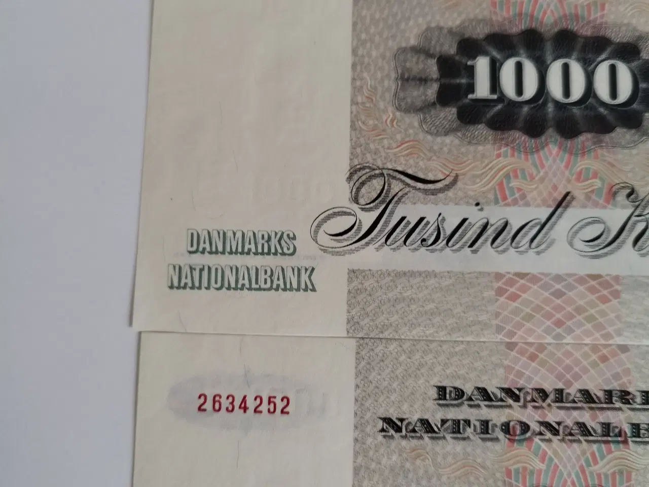 Billede 3 - 1000 Kroner Egern 🐿️