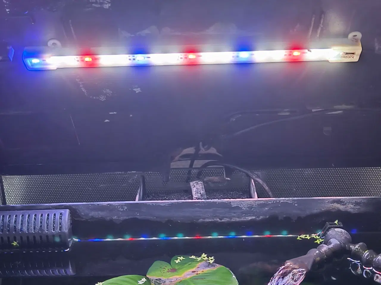 Billede 3 - Fluval flex 57 akvarie sælges