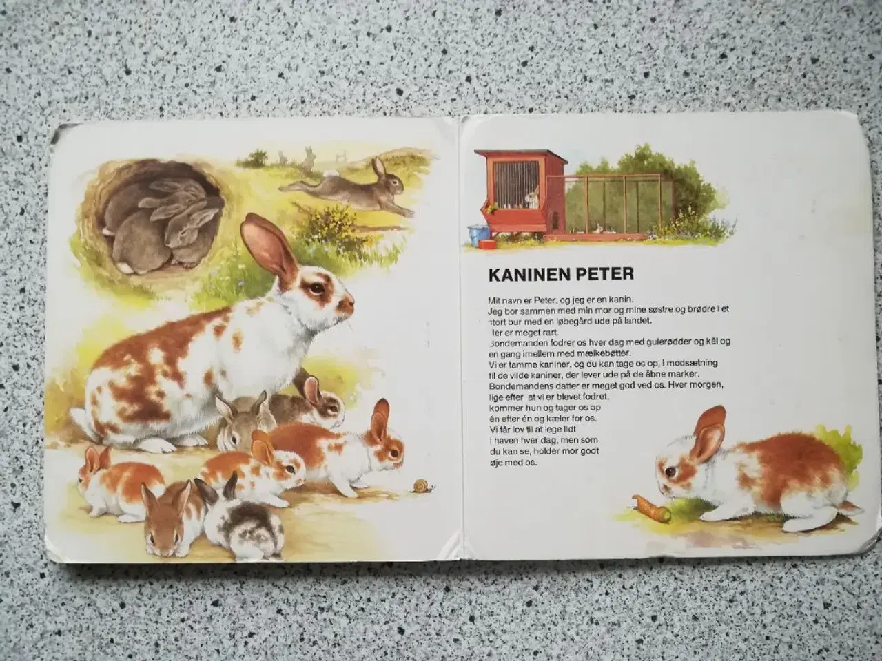 Billede 5 - Glade dyr (år 1981)børnebøger 