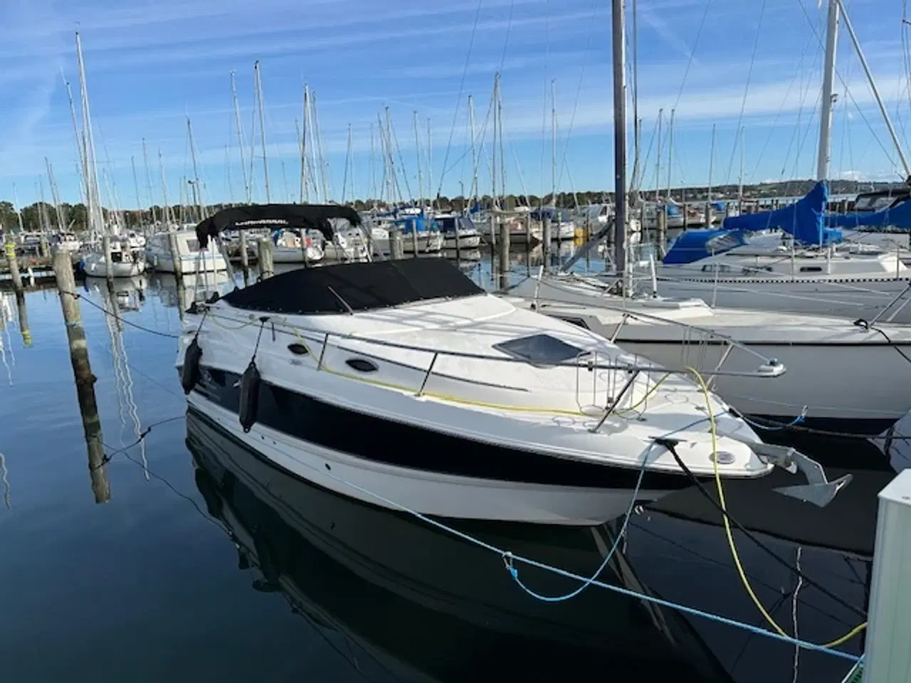 Billede 6 - Chaparral 240 Signature (Volvo Penta 5,0 GXI) 2006