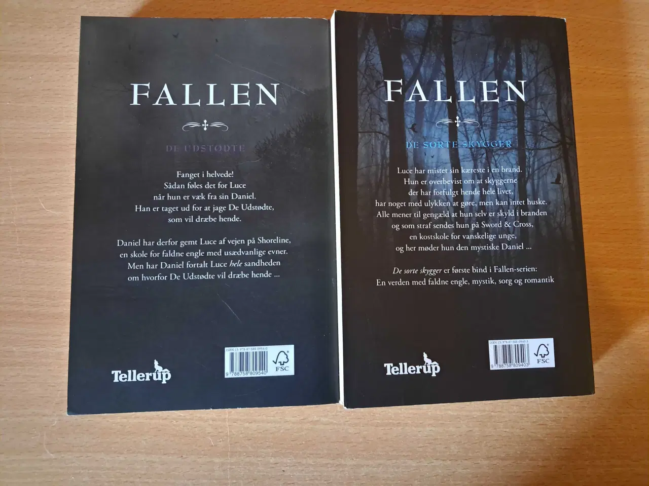 Billede 2 - Fallen bøger/books 1-2