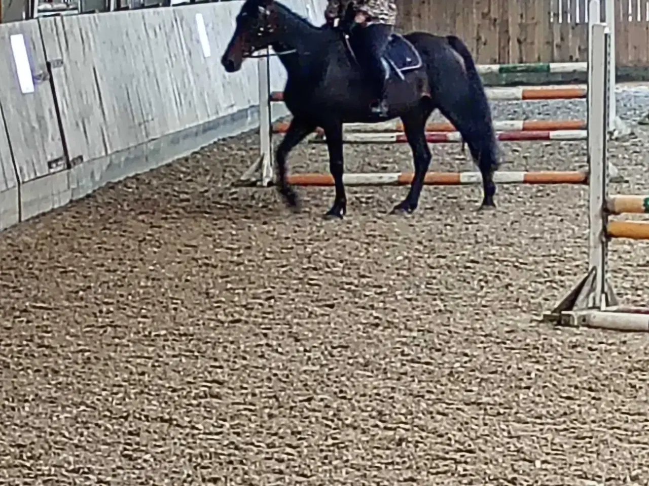 Billede 1 - Min elskede hest Enson