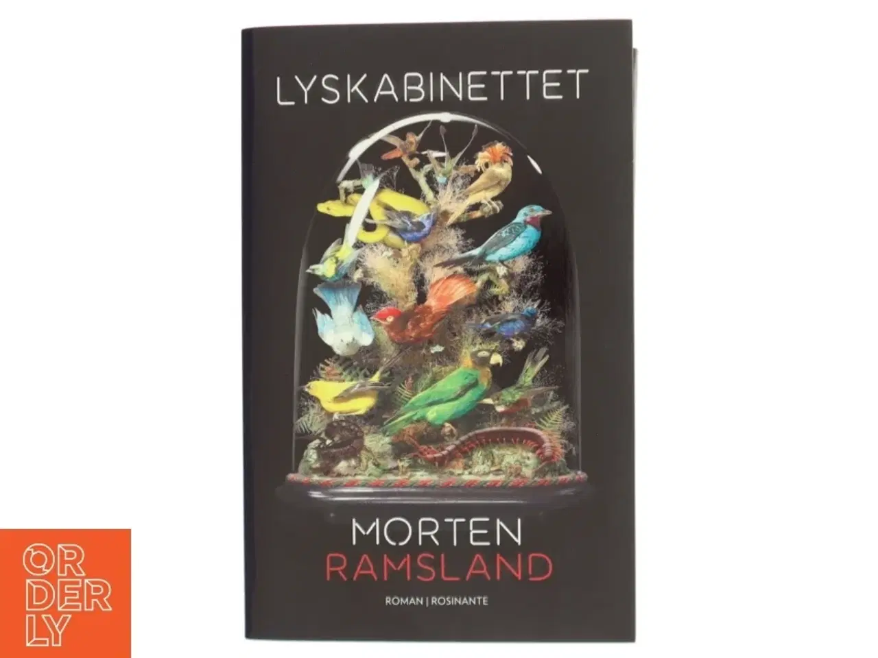 Billede 1 - Lyskabinettet : roman af Morten Ramsland (Bog)