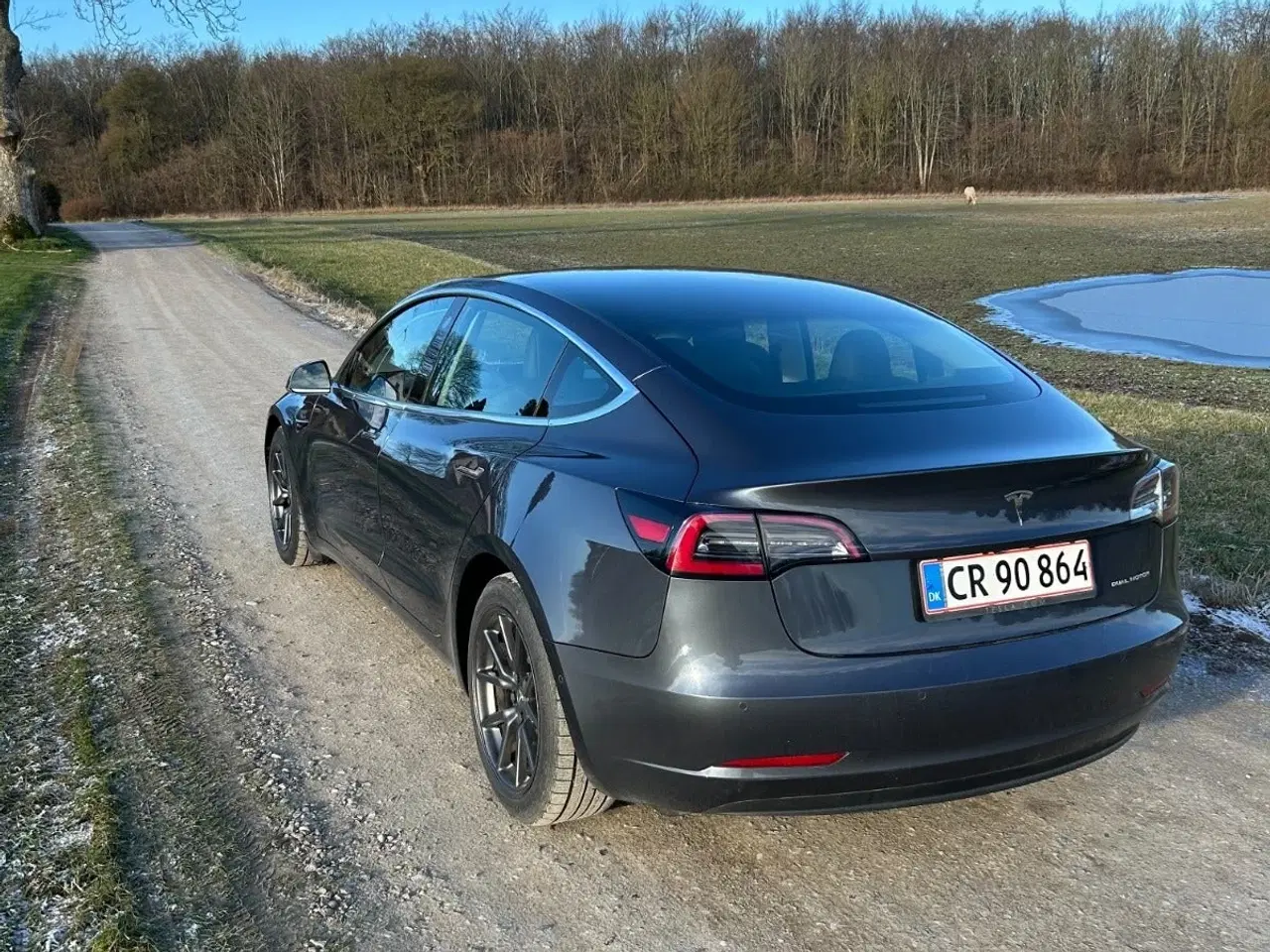 Billede 3 - Tesla Model 3  Long Range AWD