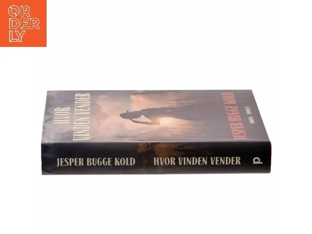 Billede 2 - Hvor vinden vender : roman (Læsekredssæt) af Jesper Bugge Kold (Bog)
