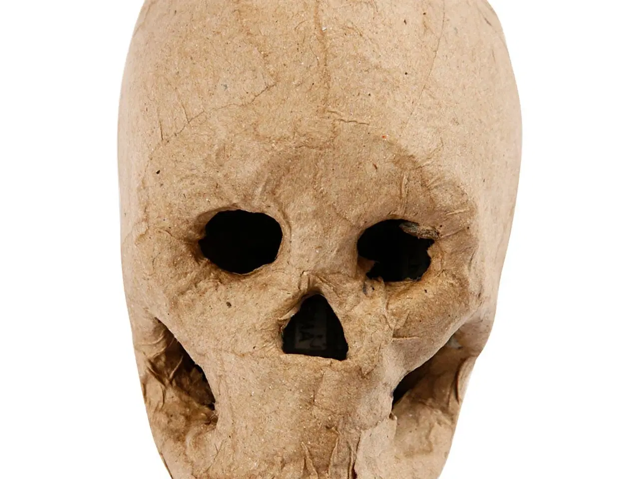 Billede 1 - Håndlavet Papmaché Kranium - 10 cm Dekoration