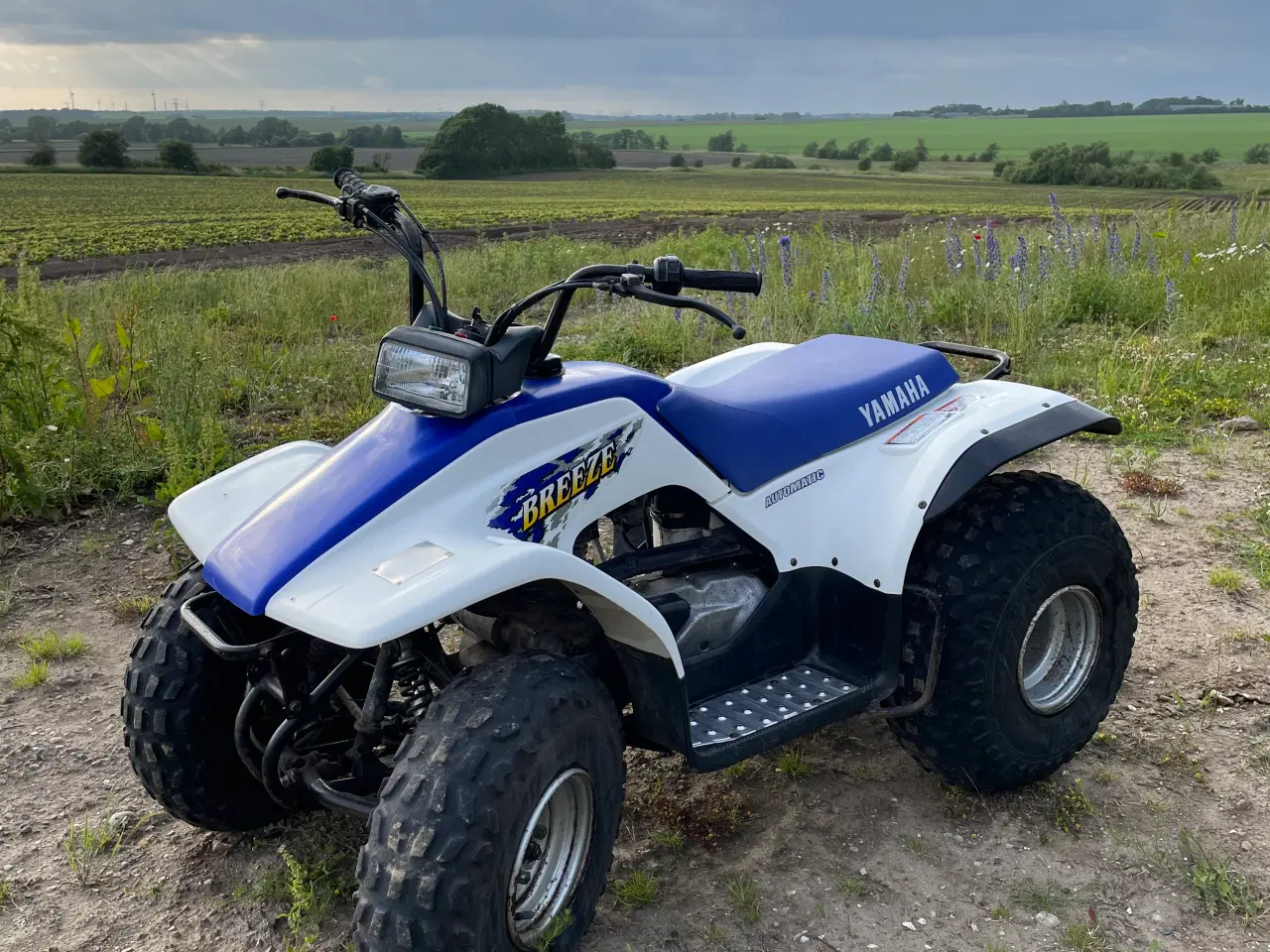 Billede 3 - YAMAHA - Flot allround atv 125ccm