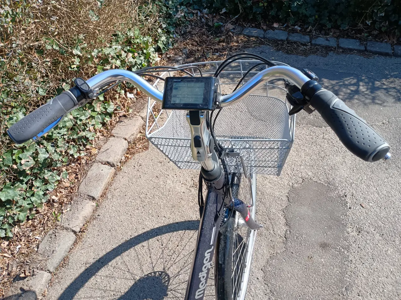 Billede 6 - Elvira Madigan New Generation.