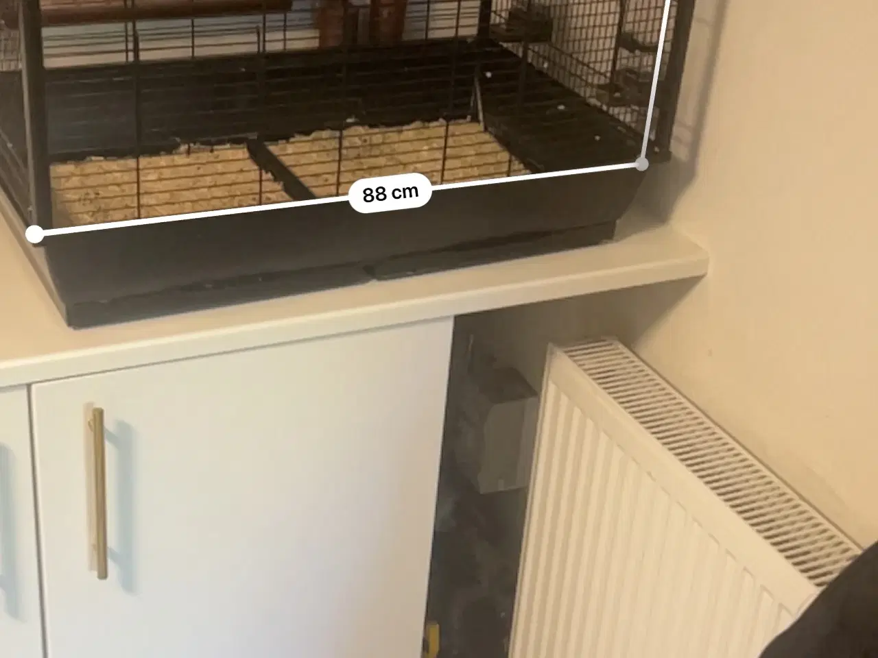 Billede 2 - 2 meget fine undulater, en han og en hun med bur