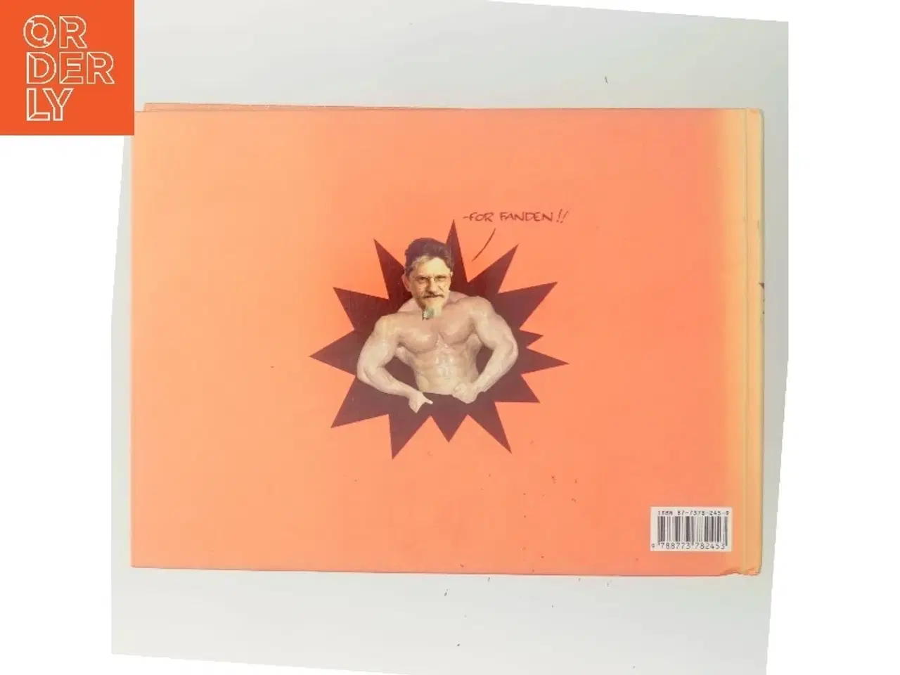 Billede 3 - Den store Strid af Jakob Martin Strid (Bog)