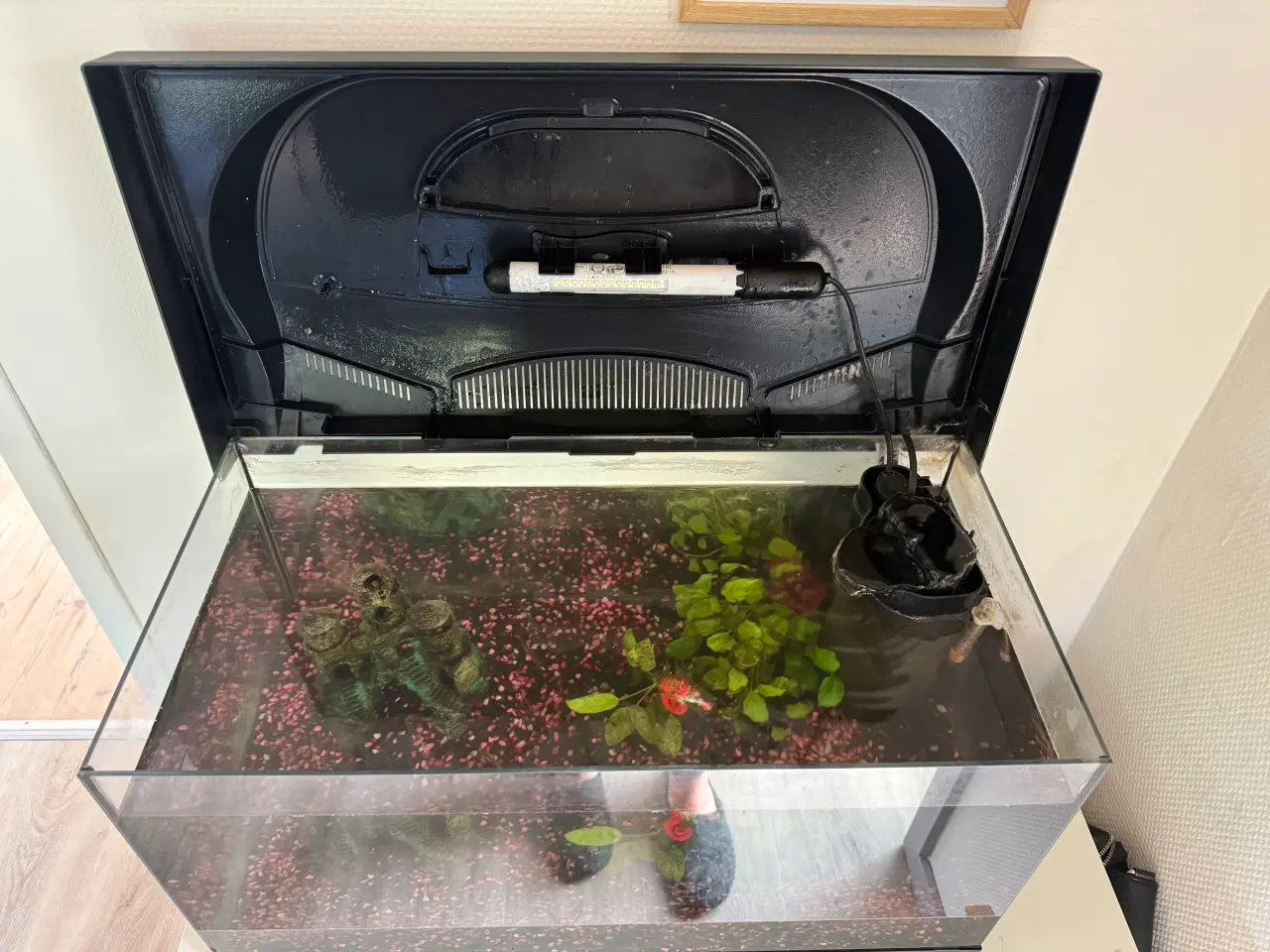 Billede 4 - Akvarie 54L 