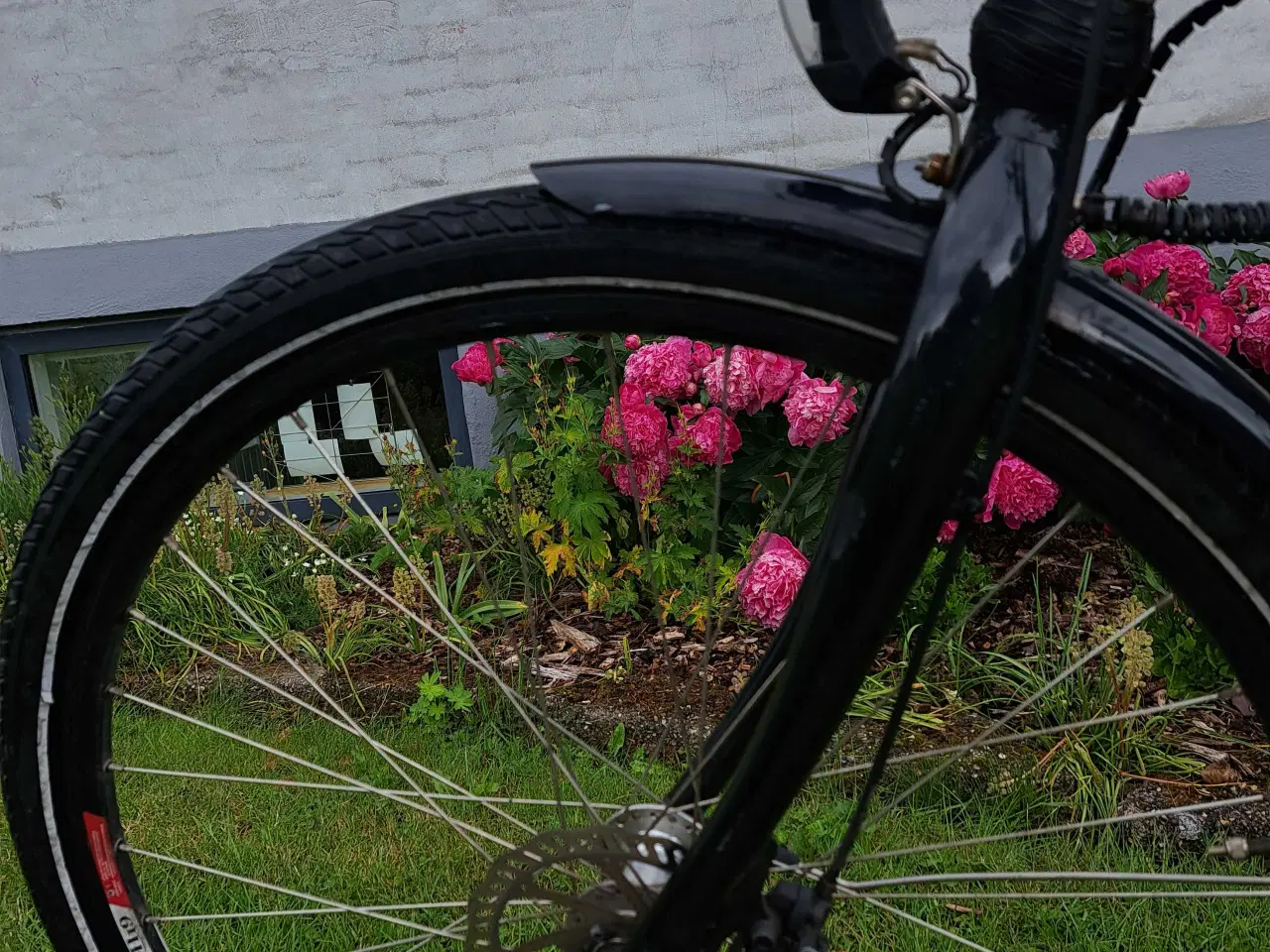 Billede 8 - E-FLY elcykel med centermoter 