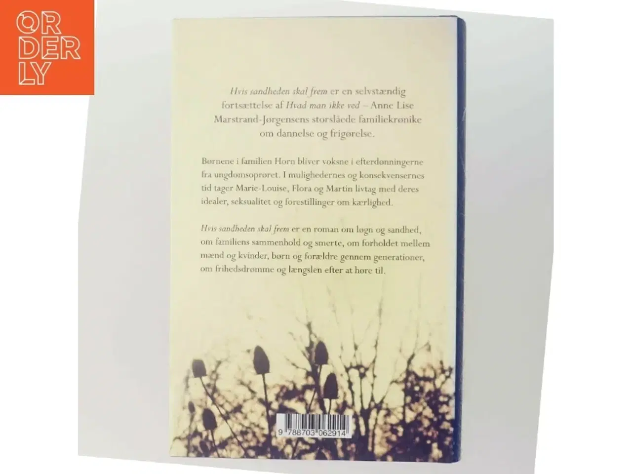 Billede 3 - Hvis sandheden skal frem : roman af Anne Lise Marstrand-Jørgensen (Bog)