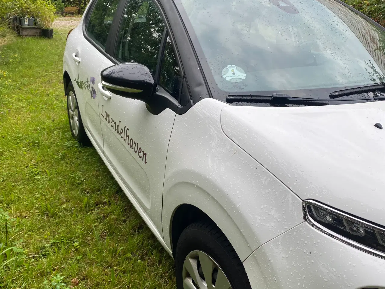 Billede 8 - Citroën C3 BlueHDi 75 Feel+ Van