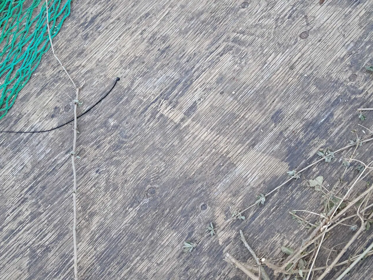 Billede 4 - Lille trailer sælges