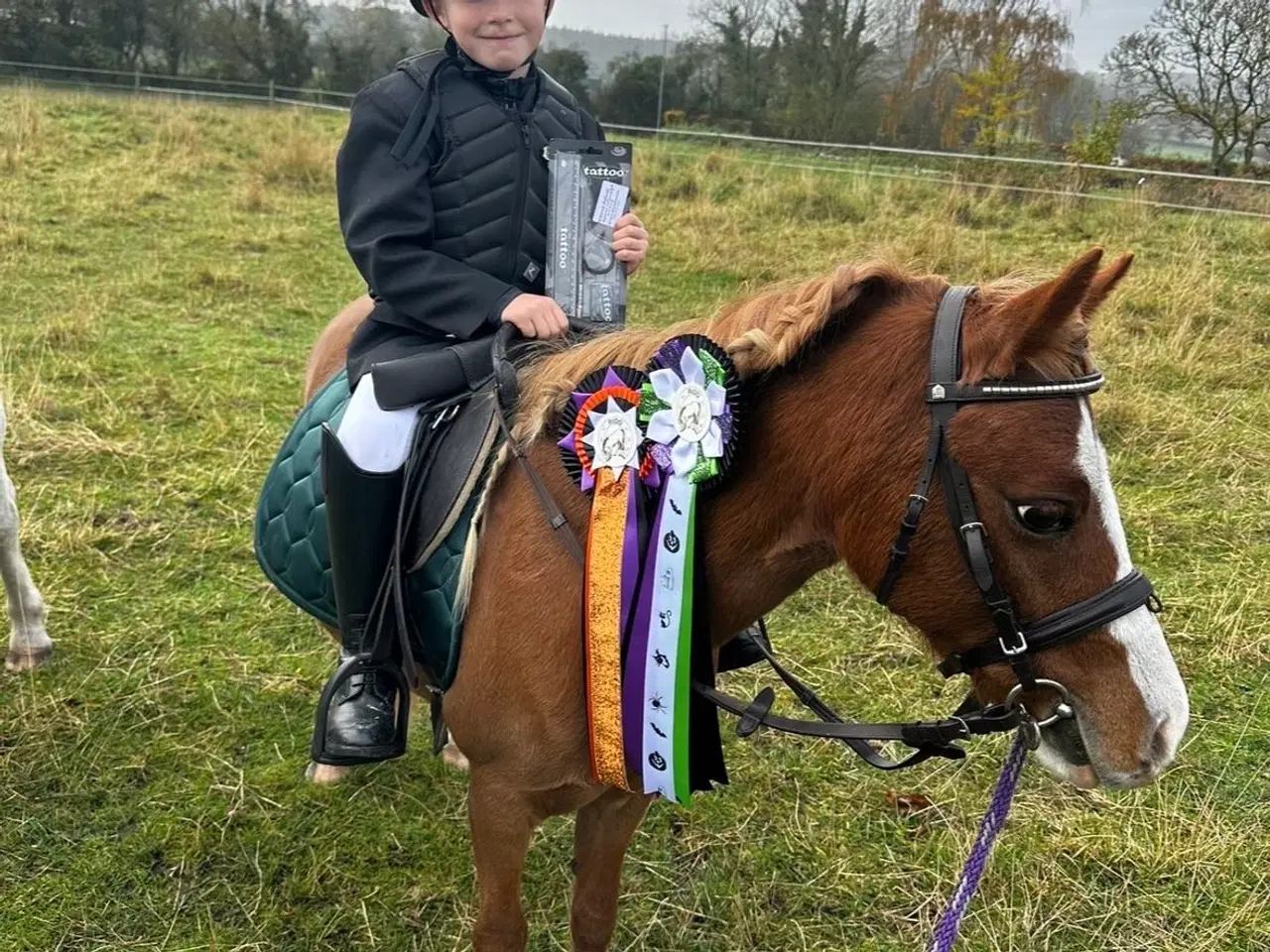Billede 1 - Børne ponyen 