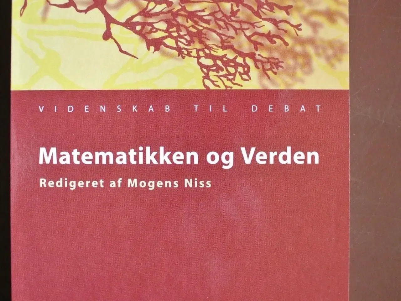 Billede 1 - matematikken og verden, red. af mogens niss, emne: