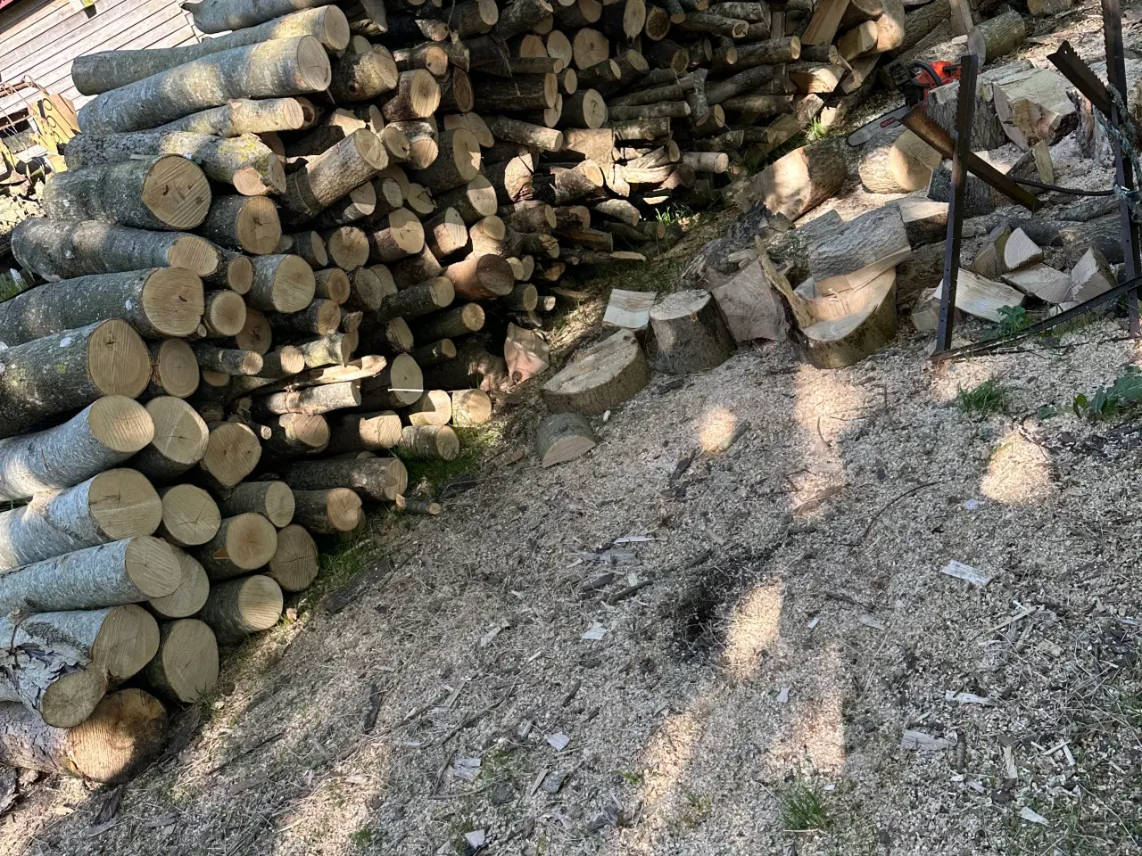 Billede 4 - Tørt rænde