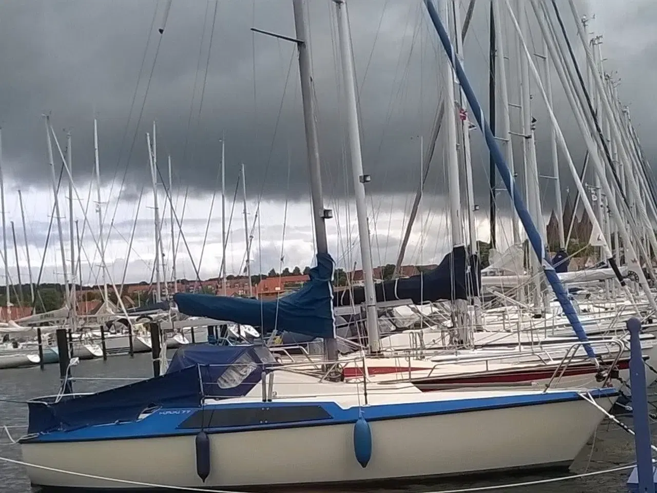 Billede 1 - Maxi 77 Sælges