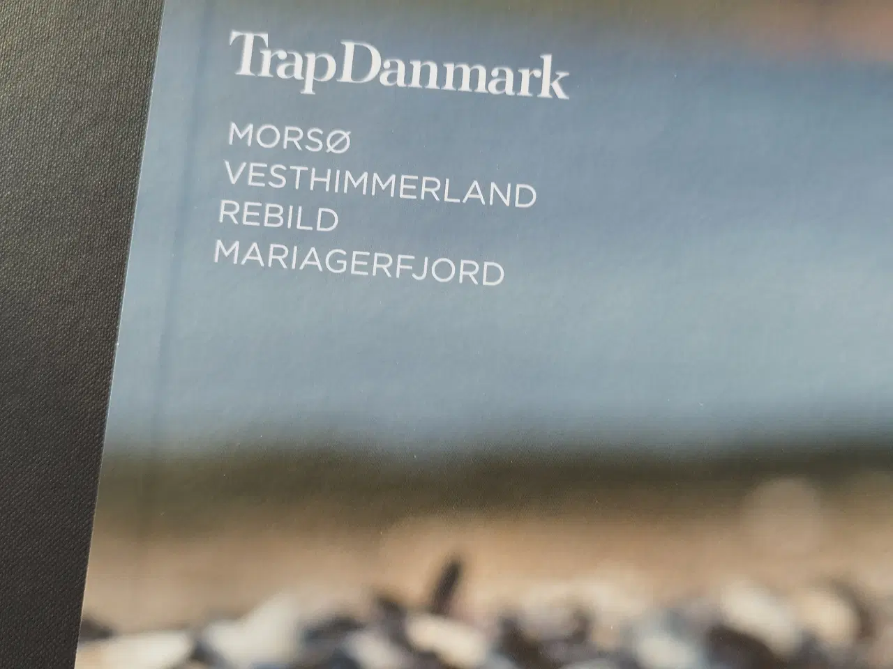 Billede 8 - Trap Danmark 